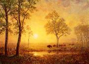 Albert Bierstadt Sunset on the Mountain Germany oil painting artist